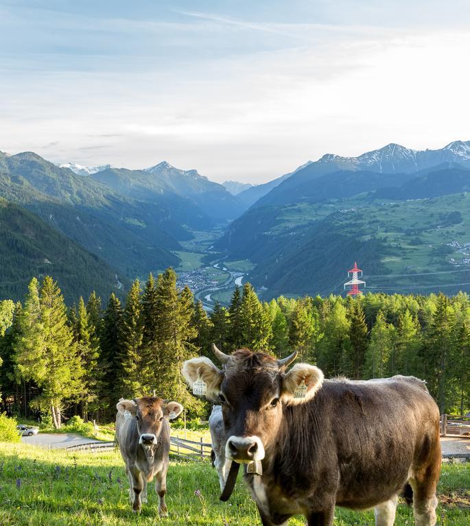 Biohof-Inntalblick Kaunerberg Buitenkant foto